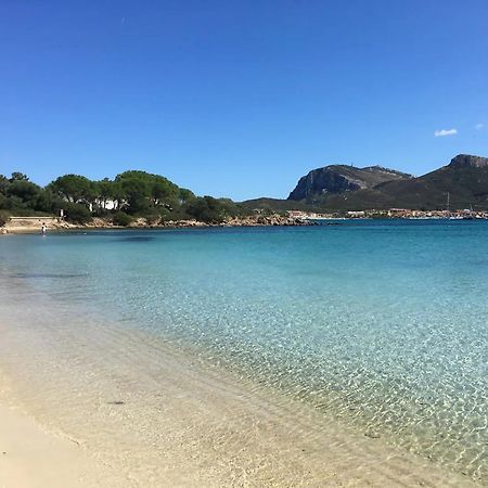 Appartamento Libeccio A 300M Dalla Spiaggia Golfo Aranci Exterior photo