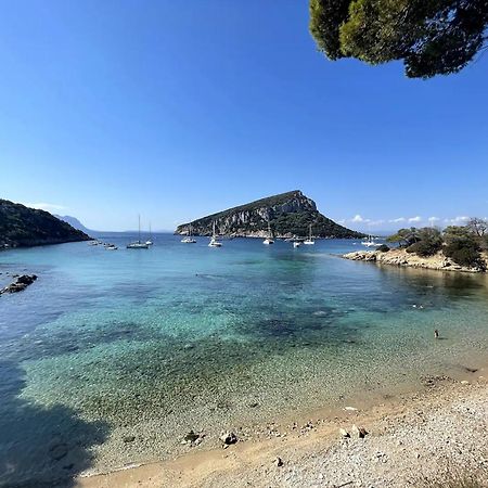 Appartamento Libeccio A 300M Dalla Spiaggia Golfo Aranci Exterior photo